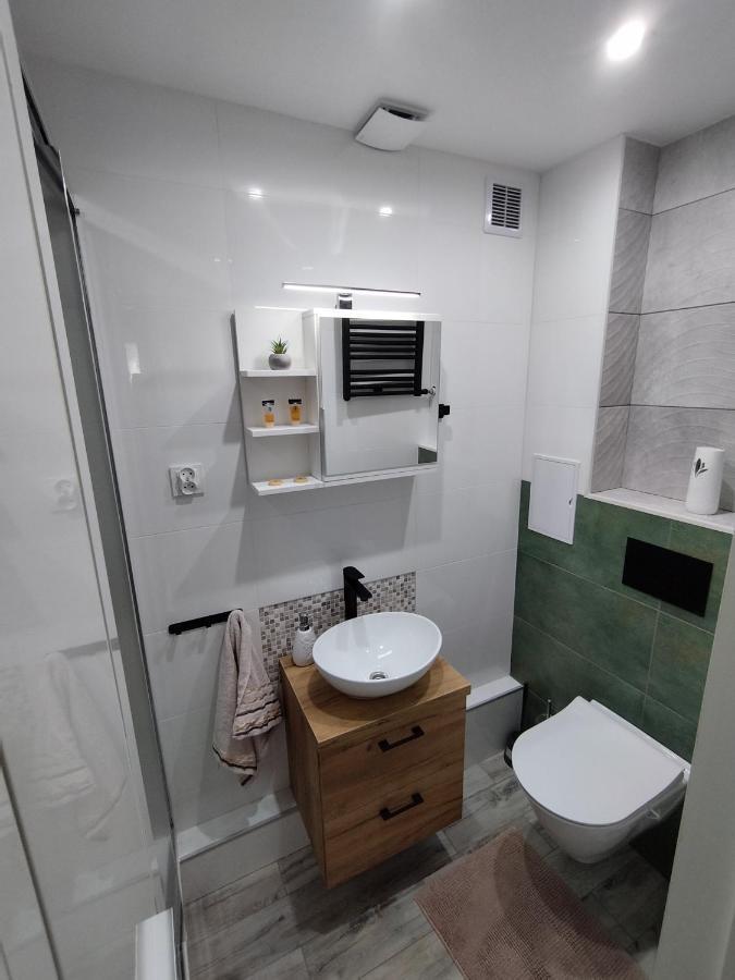 Apartament W Ladku Zdroju Przy Rynku Лёндек-Здруй Экстерьер фото